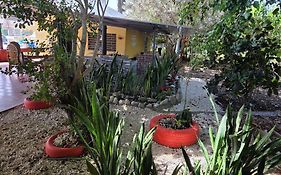 Finca im Grünen, sehr ruhige Lage, Terrasse mit Pool