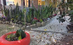 Finca im Grünen, sehr ruhige Lage, Terrasse mit Pool